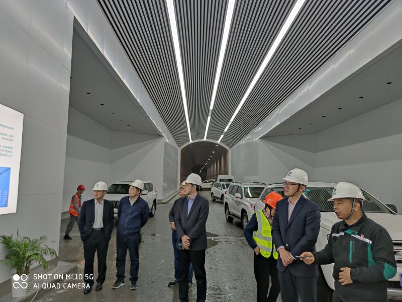 地震数据分析：选购指南解锁灾害防范新高度